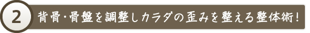 背骨・骨盤を調整しカラダの歪みを整える整体術！